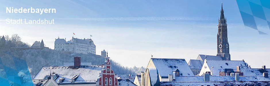 Das Foto zeigt die Stadt Landshut im Winter.