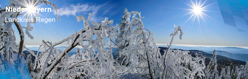 Das Foto zeigt einen winterlichen Ausblick vom Arber.