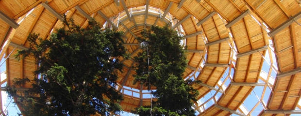 Innenansicht des Baumturms am Baumwipfelpfad in Neuschönau